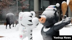 한국 세종 지역에 첫눈이 내린 23일, 평창올림픽 마스코트인 수호랑과 반다비 위로 하얀 눈에 쌓여 있다. 