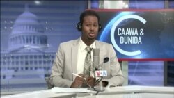 Caawa iyo Dunida