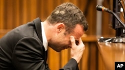 The Pistorius Murder Trial