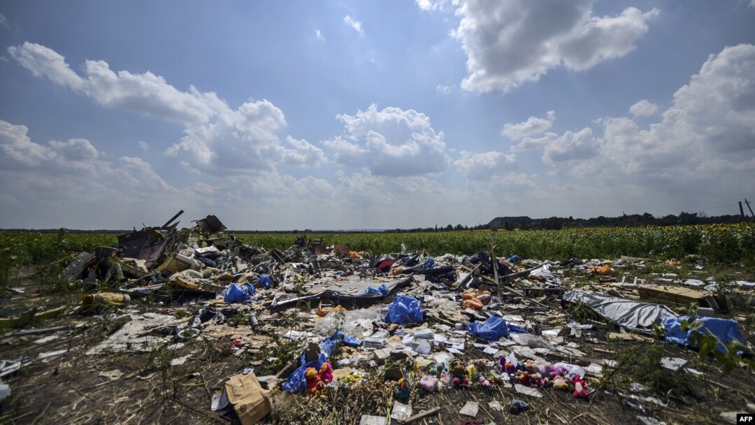 A July 23, 2014 photo of the crash site of the downed Malaysia Airlines flight MH17 in the Donetsk area of Ukraine.