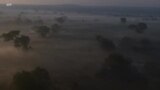 África Agora: “É preciso envolver as comunidades” na gestão das florestas do miombo, diz Diretor Nacional de Florestas de Moçambique