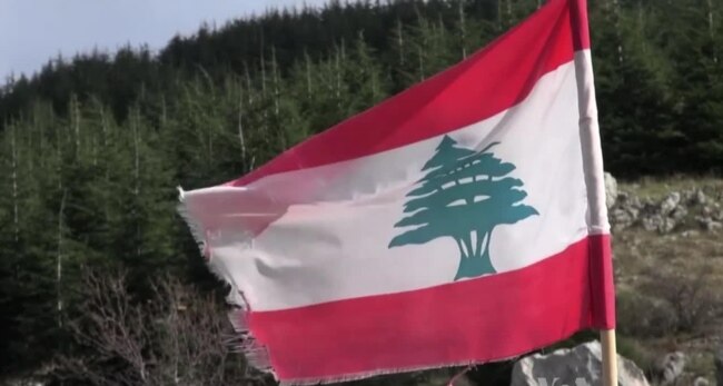 American Aid Helps Lebanon Replant Its Cedar Forests