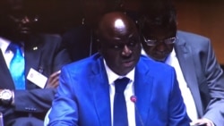 Não há dois primeiros-ministros na Guiné-Bissau, analista Luís Vaz Martins