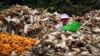 A woman sits between piles of corn as she removes the husks on a road located on the outskirts of Beijing, October 16, 2012.