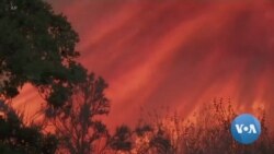 2018: A Year of Climate Catastrophes and Controversies