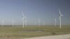 Kansas cattleman Pete Ferrell credits a series of 100-meter-tall wind turbines, situated on his property, for saving his business.