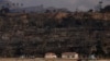 Homes and trees destroyed by the Palisades Fire are seen along the coastline in the Pacific Palisades neighborhood of Los Angeles, Jan. 17, 2025.