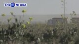 Manchetes Americanas 21 fevereiro: Continuam os combates na Síria, entre forças apoiadas pelos EUA e o Estado Islâmico