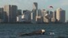 Rising sea levels threaten Miami and coastal cities around the world.