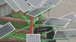Indian 'Solar Tree' to Allow for Smaller Solar Parks