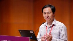 资料照片：中国科研人员贺建奎在香港人类基因组编辑大会上讲话。(2018年11月2日)