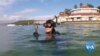 Australian Volunteers Clean the Ocean One Straw at a Time