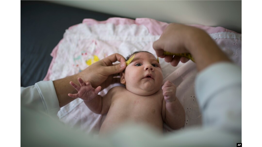 FILE - A Brazilian baby suspected of microcephaly has her head measured.