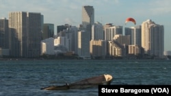 Sea level rise threatens Miami and coastal cities around the world. By 2060, the city could see tidal flooding almost every day.