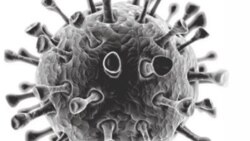Kwayar Cutar Coronavirus