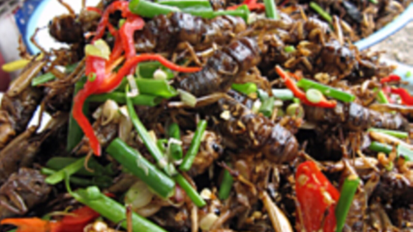 FAO: Bugs Take a Bite Out of Hunger