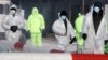 Russia Detects First Case of Avian Flu Strain in Humans, Alerts WHO 