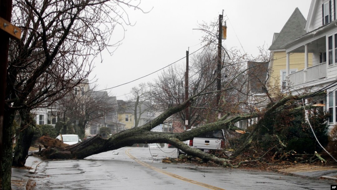 An uprooted tree blocks a residential street after taking down a power line in Swampscott, Mass, March 2, 2018.