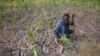 FILE - A farmer shows his failed crops and farmland in the Megenta area of Afar, Ethiopia, Jan.26, 2016.