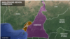 Armed Groups Attack Cameroon Plantation Workers