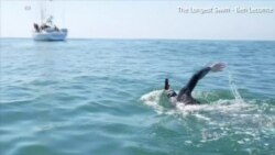 Swimmer Attempts 5.5K Swim Across Pacific to Study Plastic Pollution
