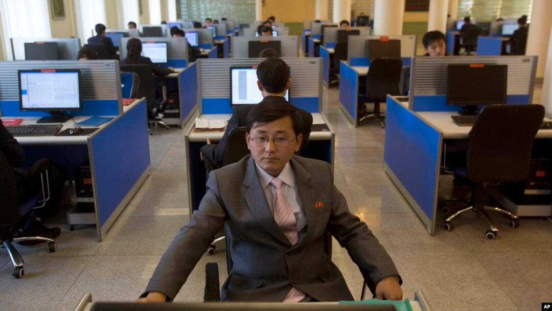 평양 김일성종합대학 컴퓨터실에서 한 학생이 인터넷 검색을 하고 있다. (자료사진)
