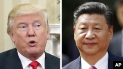 美国总统川普(左图), 中国国家主席习近平(资料照片)