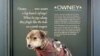 Here’s Owney after a taxidermist was through with him, wearing many of the tags his human pals gave him.