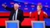 Parade of Democrats Address National Party Activists