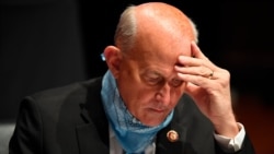 戈莫特眾議員在眾議院司法委員會的聽證會上看筆記。（2020年7月28日）
