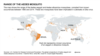 Range of the Aedes mosquito