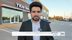 زندگی در امریکا: تلاش‌ها و آزمون‌ها برای ادامه حرفه در مهاجرت 