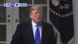 Manchetes Americanas 19 Março: Financiamento do Pentágono poderá ser desviado para construção de muro fronteiriço entre EUA e México