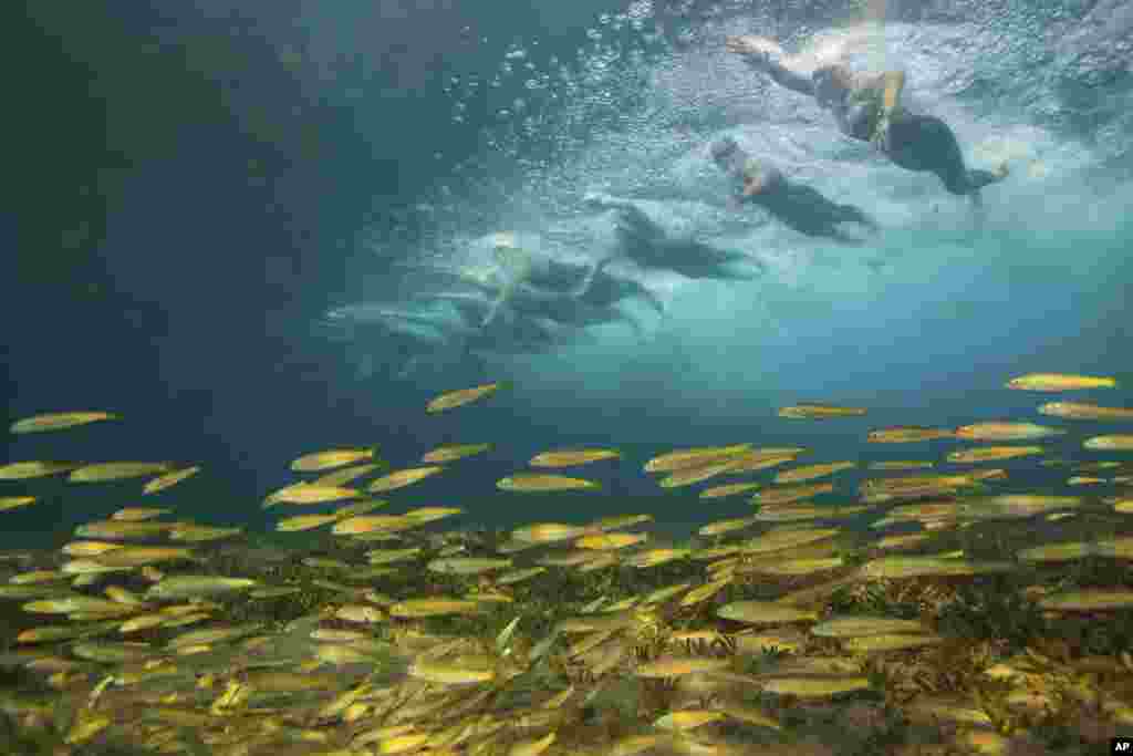 Swimmers compete at FINA World Junior Open Water Swimming Championships in Eilat, Israel, Sept. 7, 2018.