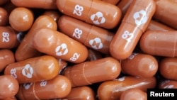 FILE - An experimental COVID-19 treatment pill called molnupiravir, being developed by Merck & Co Inc and Ridgeback Biotherapeutics LP, is seen in this undated handout photo released by Merck & Co Inc and obtained by Reuters, May 17, 2021. 