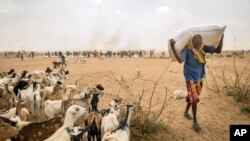 በሶማሊያ ድንበር ላይ በ2016 የምግብ እርዳታ ሲቀበል