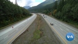 Wildlife Bridge to Reduce Car Collisions with Animals