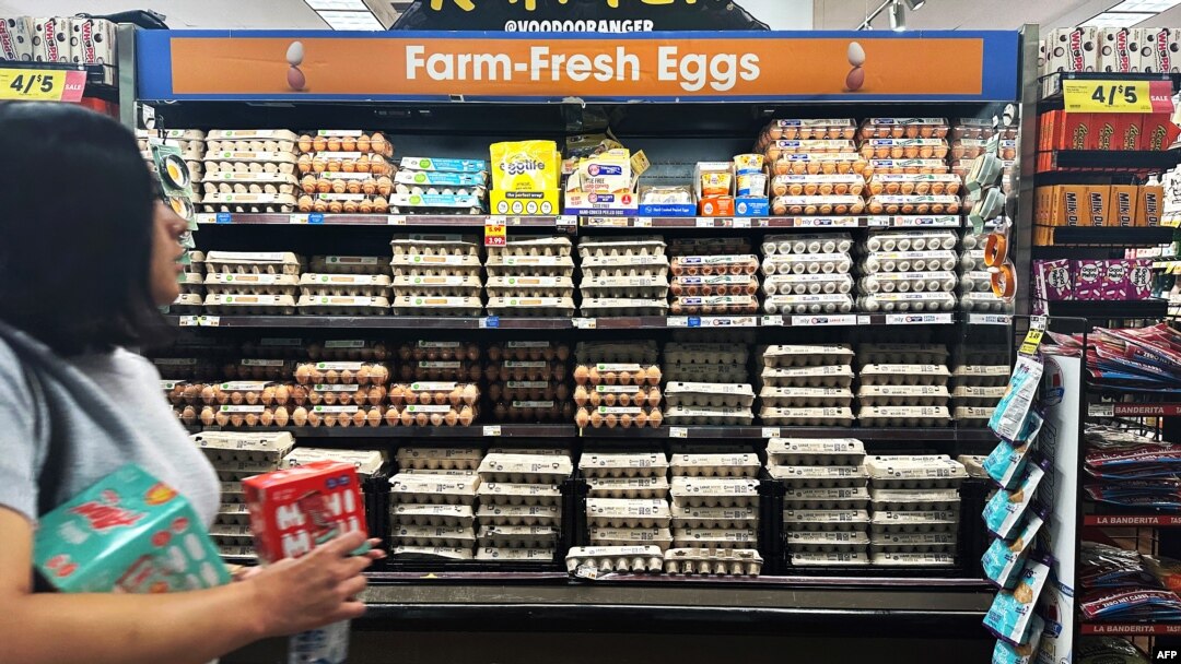 ARCHIVO - Una compradora observa la sección de huevos en un supermercado de Monterey Park, California, el 10 de febrero de 2025.