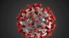 The ultrastructural morphology exhibited by the 2019 Novel Coronavirus, which was identified as the cause of an outbreak of respiratory illness first detected in Wuhan, China, is seen in an illustration released by CDC in Atlanta, Georgia, Jan. 29, 2020.