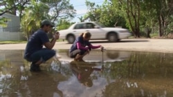 Miami Citizens Become Scientists to Study Rising Seas