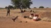 Niger Attack