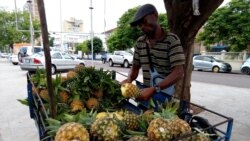 Moçambique: Paz vai além do calar das armas e da reintegração dos guerrilheiros - 3:04