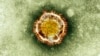 New SARS-Like Virus Can Probably Pass Person-to-Person