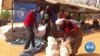 UN Appeals for $6.7 Billion to Help World’s Poorest Survive COVID-19