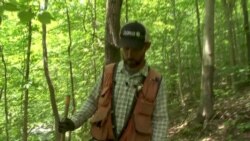 Conservation Group Saves Forests and Jobs
