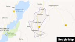 ጌዲኦ ዞን 