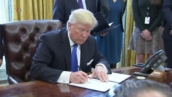 Trump Upends Climate Policy in First Year