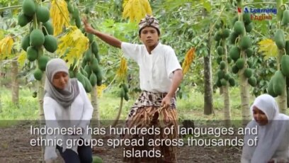 US Teachers Reach Out to Indonesians in 'Access'