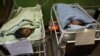 Study: Nutrient Powders Can Prevent Iron-Deficiency in Children